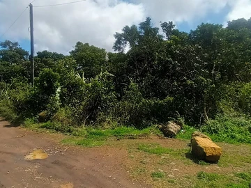 Agricultural Land