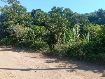 Agricultural Land