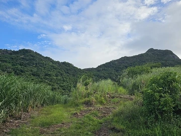 Terrain Agricole