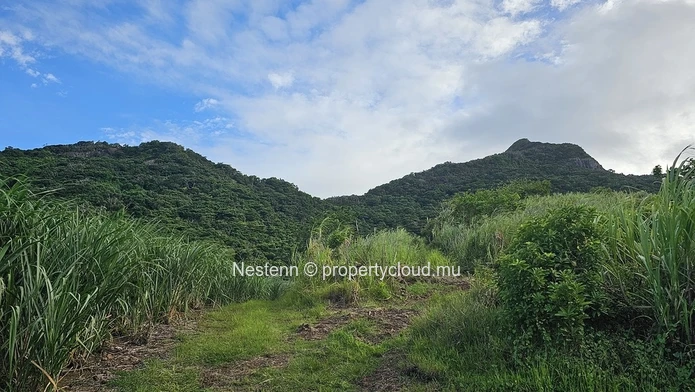 Agricultural Haven in valleys - 3 Arpents 55 perches of Pure Bliss