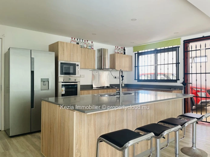 Contemporary single-story house