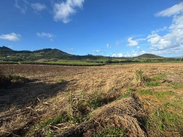 Land