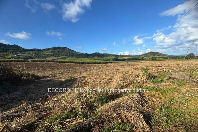 Terrain Agricole à vendre -  Bambous Virieux