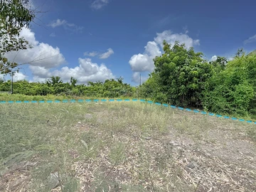Terrain