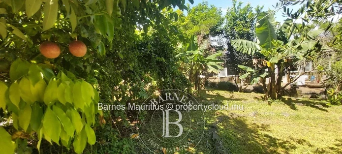 MOKA – Terrain agricole avec maison conteneur – 3 160 m²