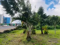 Land For Sale  At Trianon Ebene