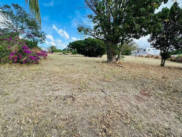 Terrain Résidentiel à Vendre à Morcellement Terre d’Albion – Emplacement Idéal, Potentiel Exceptionnel !
