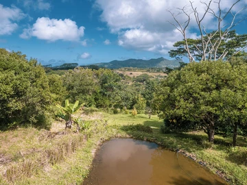 Terrain Agricole