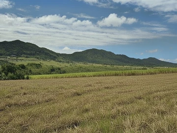 Terrain Agricole