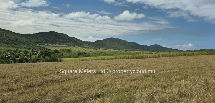 Terrain agricole de 2 406 m² à vendre à Anse Jonchée (Mandat exclusif)