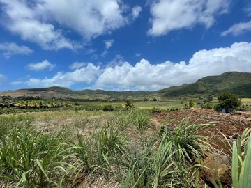Agricultural Land