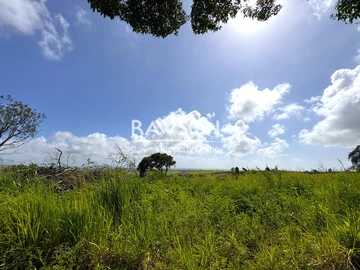 Residential Land