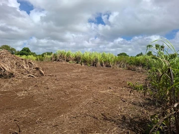 Residential Land