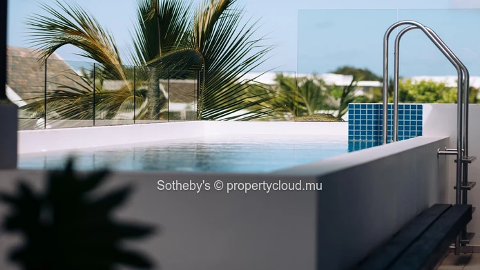 The Royal Penthouse 