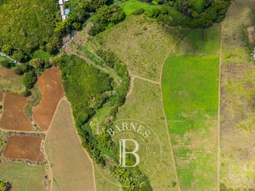 Terrain Agricole