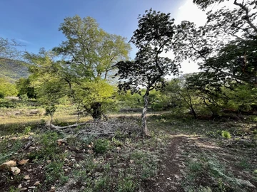Terrain Résidentiel