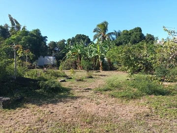 Residential Land