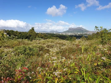 Residential for Sale in Montagne Ory