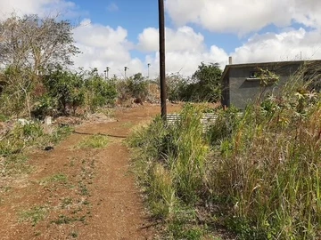 Land