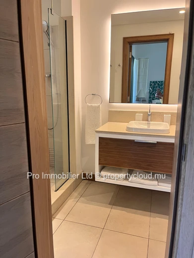 Elegant and spacious apartment for sale in the renowned Park De Mont Choisy. North