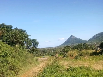 Agricultural Land