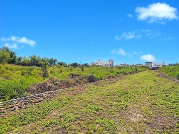 Terrain