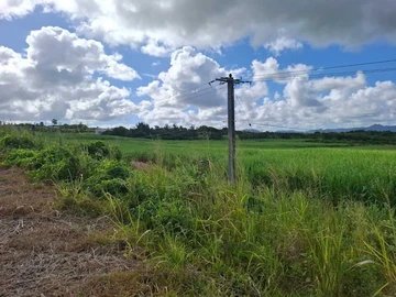 Agricultural Land