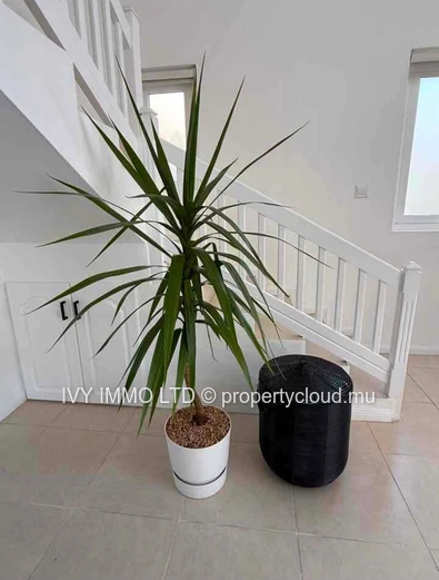 Luxury Residence For Long-Term Rent – Calodyne