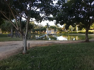 Residential Land