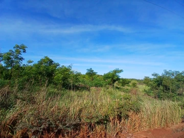 Agricultural Land
