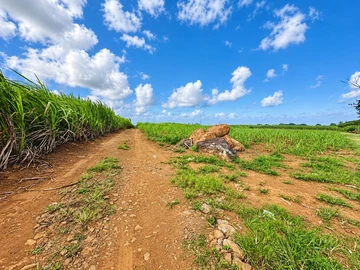 Agricultural Land