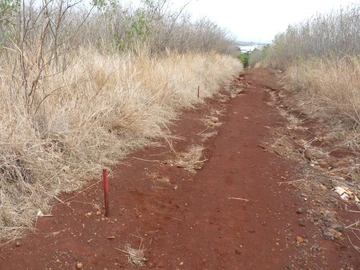 Residential Land