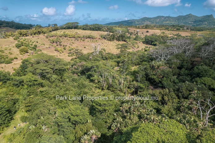 Beautiful Plot Surrounded by Nature next to River
