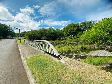 Residential Land