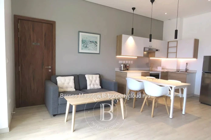 RÉDUIT - Penthouse neuf avec ascenseur - 1 chambre