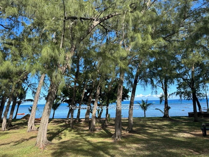 Residential Plot with Subdivision Potential 