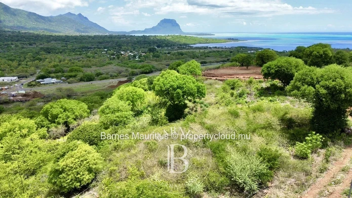 Black River - Plot of land with sea and mountain views