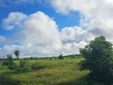 Residential Land