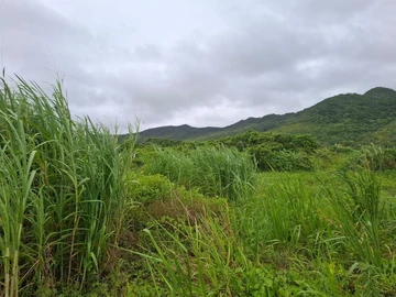 Agricultural Land