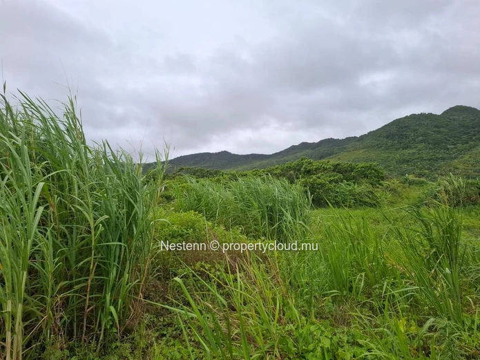 Agricultural land of 12,491.13 m², ideally located in the peaceful and green surroundings 