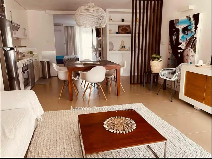 Charmant appartement 1 chambre meublé 