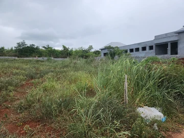 Land