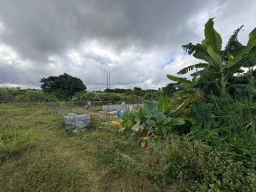 Residential Land