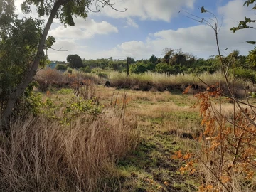 Residential Land