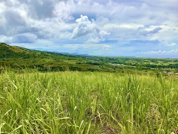 Agricultural Land