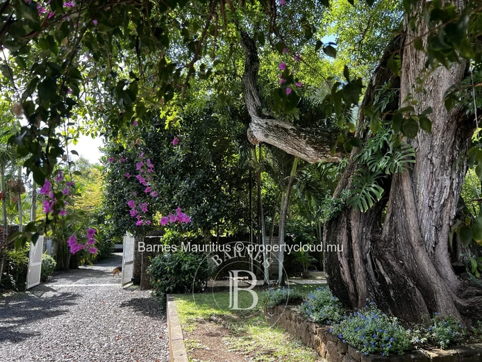 SAINT ANTOINE - Tropical Villa - 4 Bedrooms