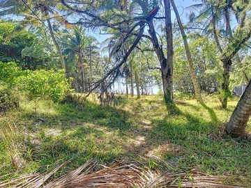 Terrain