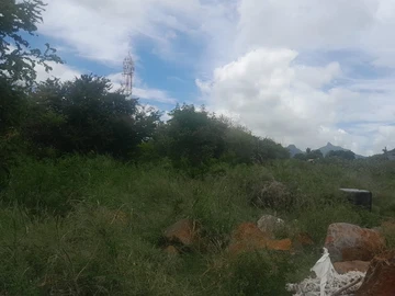 Agricultural Land