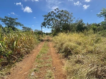 Terrain Commercial