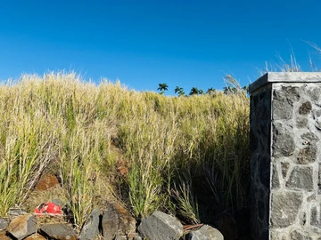 Residential Land